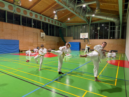 elite taekwondo