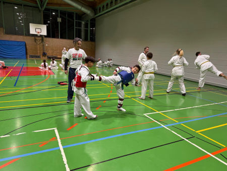 elite taekwondo