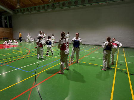 elite taekwondo