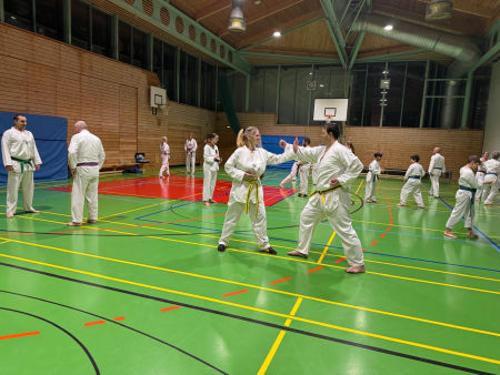 elite taekwondo