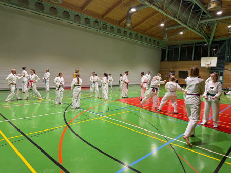 elite taekwondo