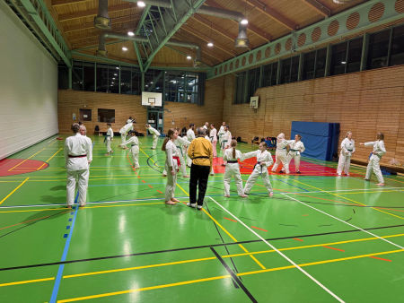 elite taekwondo