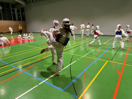 elite taekwondo