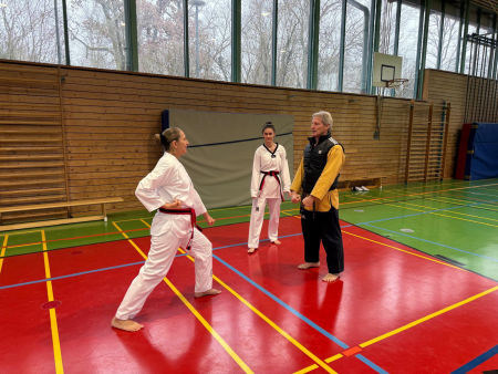 elite taekwondo