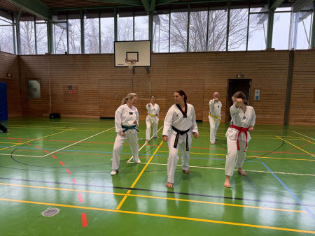 elite taekwondo