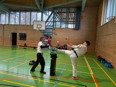 elite taekwondo