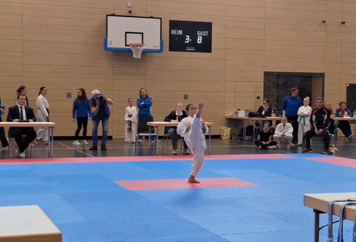 Elite taekwondo