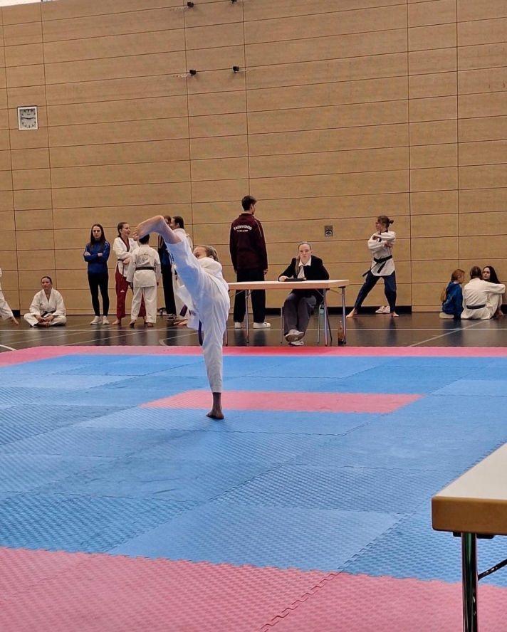elite taekwondo